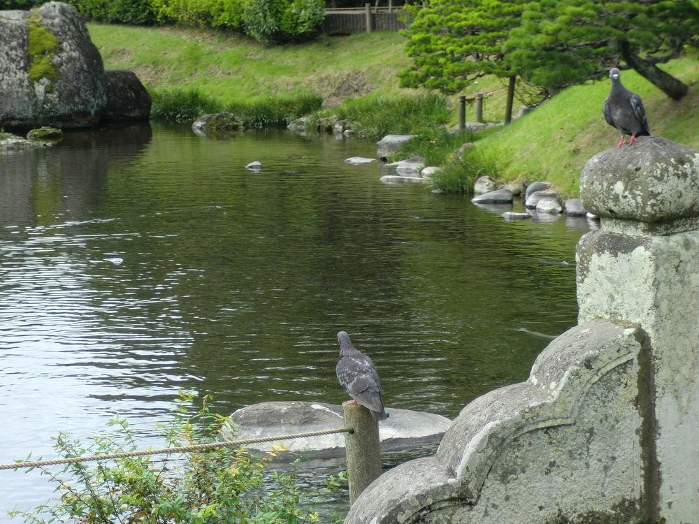 Suizenji Comfort Hotel Kumamoto Eksteriør bilde